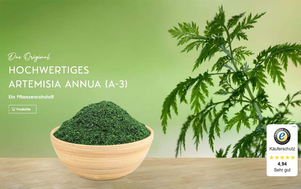 1 Planta De Artemisia Annua 15-20 Cm Lista Para Plantar